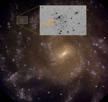 В галактике NGC 7424 астрономы нашли звезду-компаньона сверхновой SN2001ig, что поможет ученым понять, как взорвавшаяся звезда потеряла свой водород. Фото Gemini South GMOS Images/Stuart Ryder/Travis Rector с сайта www.gemini.edu