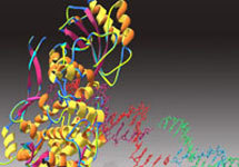 http://www.sciam.com/article.cfm?chanID=sa003&articleID=000A4F2E-781B-1E5A-A98A809EC5880105