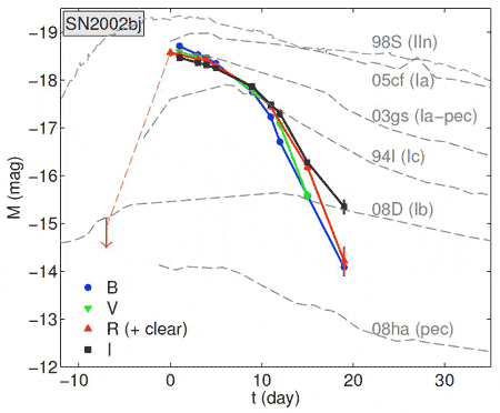 Эволюция светимости сверхновой SN2002bj. Кривые разного цвета соответствуют разным частям оптического диапазона. Серые - кривые блеска других сверхновых. Видно, что светимость падает очень быстро (из статьи arXiv: 0911.2699)