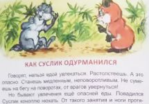 Фрагмент страницы книги "Высокая скала хомы и суслика"