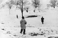 Венгрия, 1956. Отряды самообороны на границе Венгрии ожидают появления советских воинских частей.