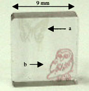 Фото с сайта www3.interscience.wiley.com